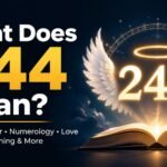 244 Meaning Revealed: The Surprising Truth About Love, Angel Numbers And More 