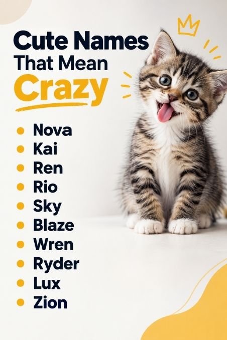 Cute Names That Mean Crazy